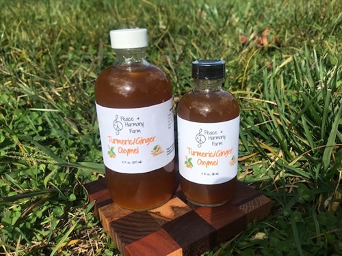 Turmeric/Ginger Oxymel 4 oz